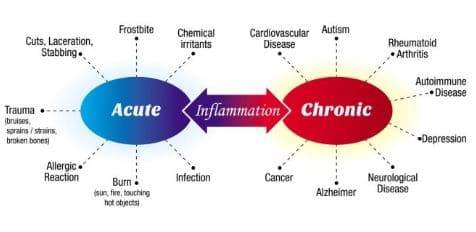 Chiropractic Apex NC Acute and Chronic Inflammation