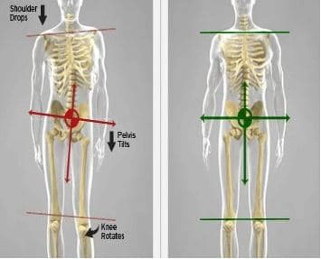 Chiropractic Apex NC Affect The Pelvis Has On Your Body