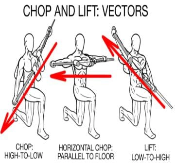 Chiropractic Apex NC Chop and Lift Vectors