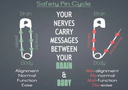 Chiropractic Apex NC Safety Pin Cycle